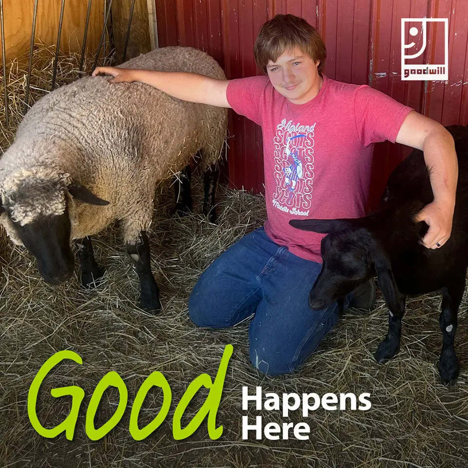 Johnny working in the barn with animals.